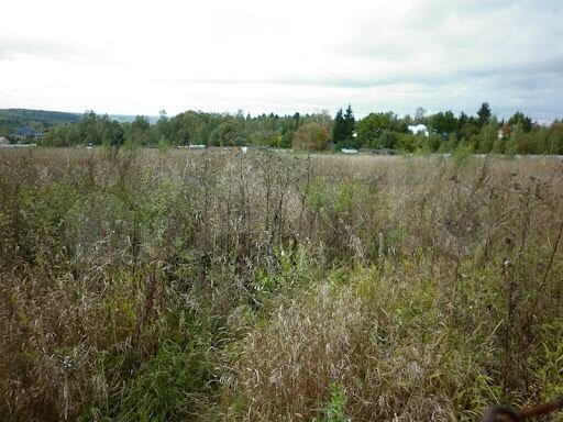 Участок 14,3 сот. (ИЖС)