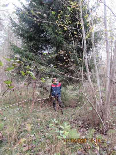 Участок 15 сот. (СНТ, ДНП)