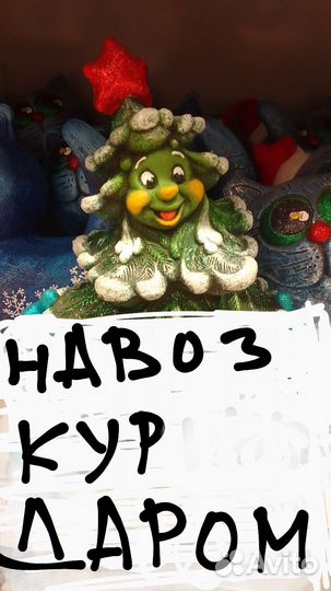 Домашние цветы