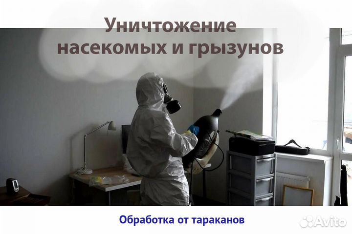 Уничтожение клопов тараканов грызунов блох клещей