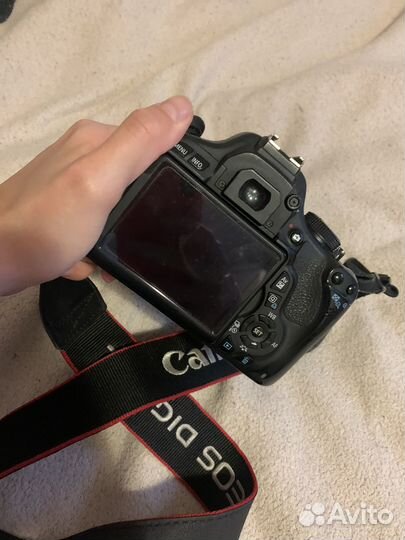 Зеркальный фотоаппарат canon 600d и nikon d5200