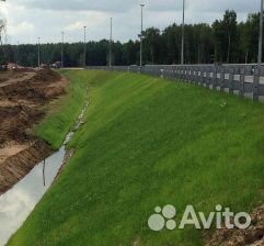 Газон Придорожный