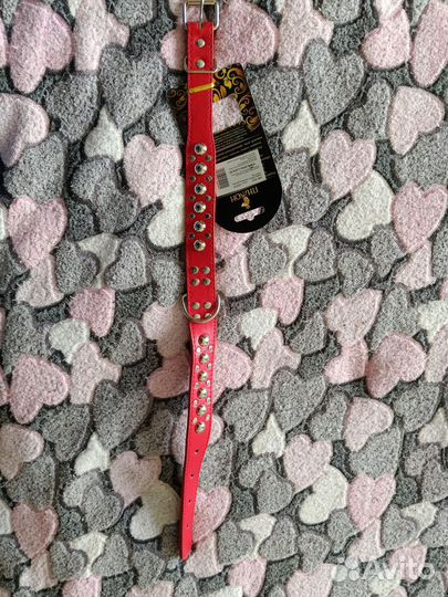 Ошейник для собак