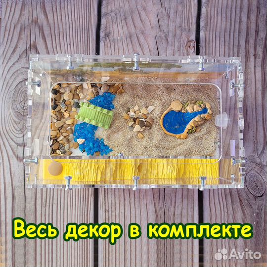 Муравьиная ферма (Новые)