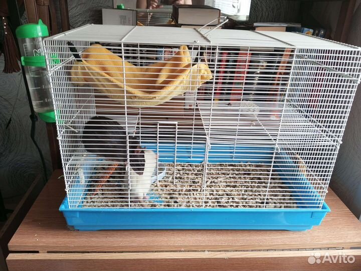 Клетка для крыс