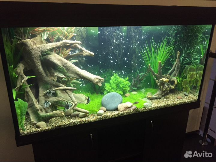 Аквариум 240 литров