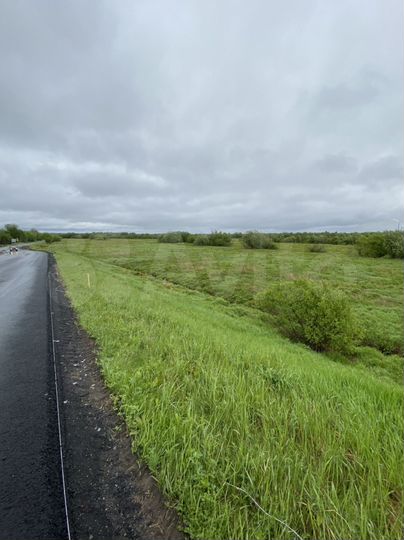 Участок 5,3 га (СНТ, ДНП)