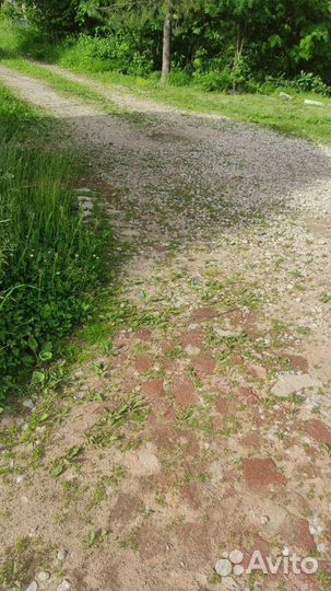 Приму грунт. Много