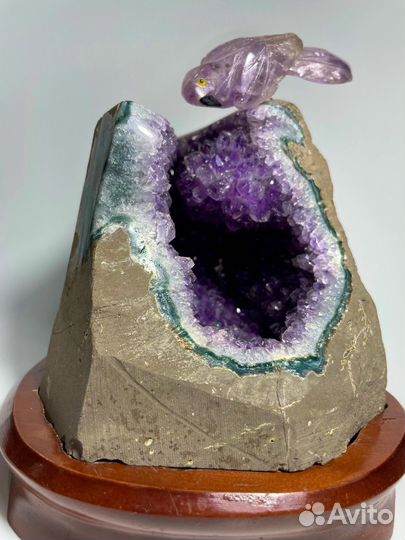 Аметист жеода с папугаем