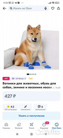Одежда для собачки