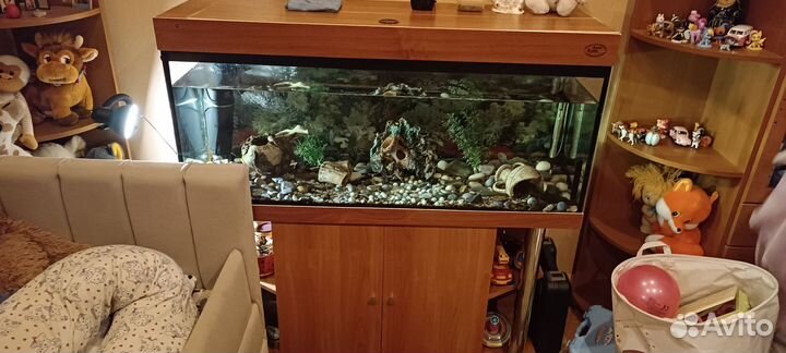 Аквариум