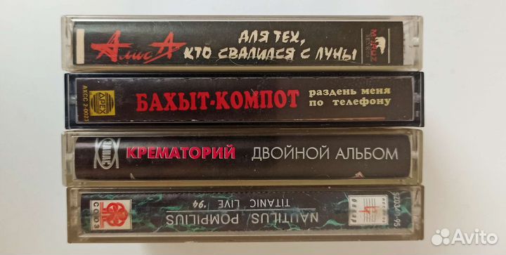 Алиса,Бахыт К, Янка,Сектор,Нау,Зоопарк