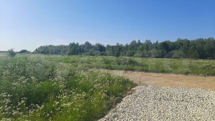 Участок 8 сот. (СНТ, ДНП)