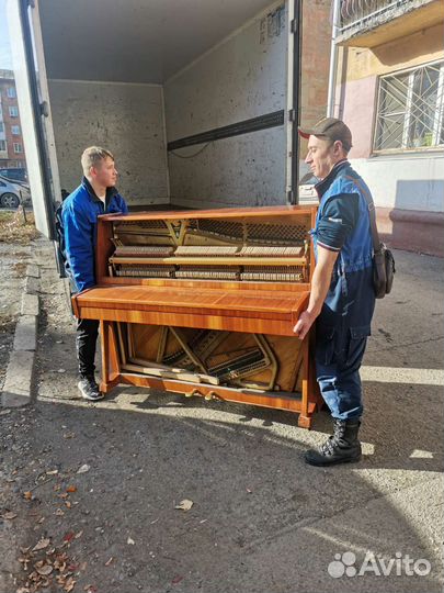 Грузоперевозки газели грузчики переезды