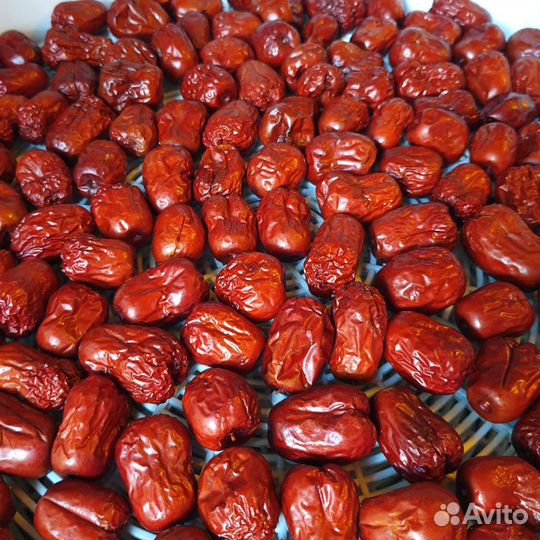 Зизифус - Лакомство для грызунов