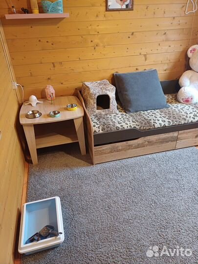 Передержка животных (домашняя зоогостиница)