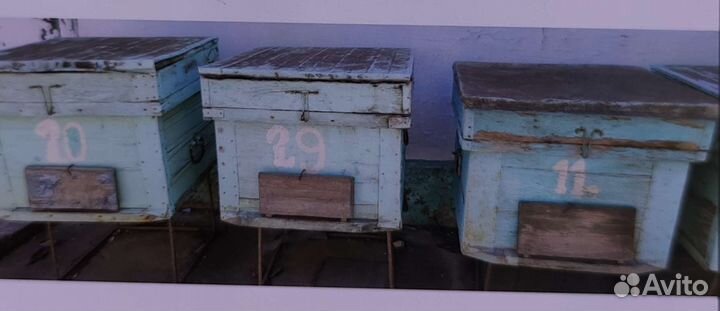 Ульи для пчел бу