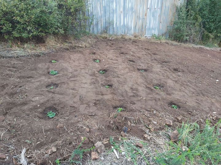 Участок 9 сот. (СНТ, ДНП)