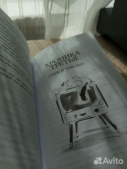 Хроники странствующего кота