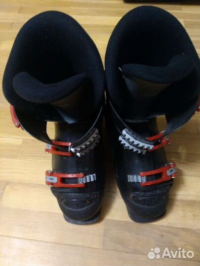 Горные лыжи