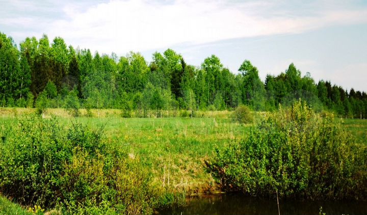 Участок 12 сот. (СНТ, ДНП)