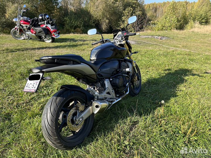 Honda cb 600 Hornet
