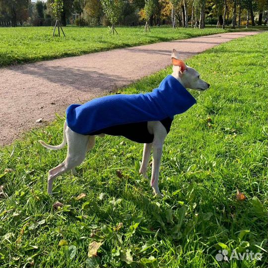 Кофты для собак