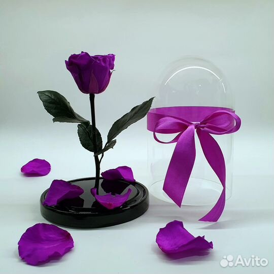 Розы в колбе огромный выбор