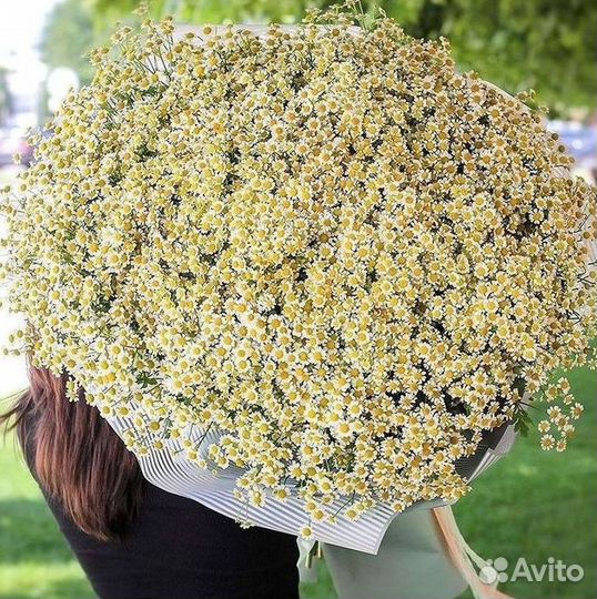 Ромашки Букет из ромашек доставка