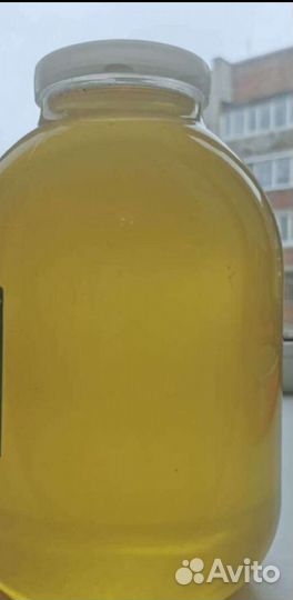 Горная липа