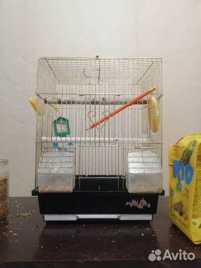 Клетка от Гоши