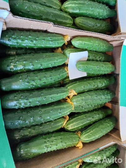 Доставка овощей и мяса