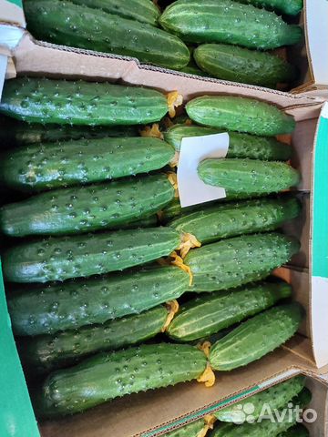 Доставка овощей и мяса