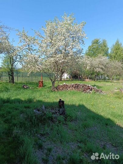 Фирма с оборотами