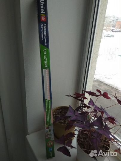 Фитосветильник для растений Uniel ULI-P12-10W