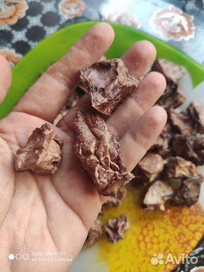 Лакомства для собак