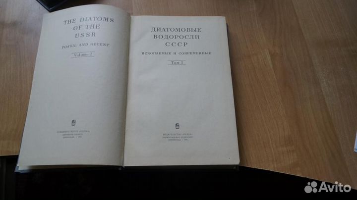 Диатомовые водоросли СССР ископаемые и современные