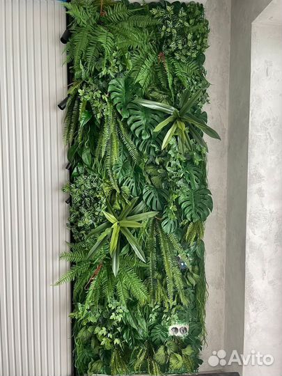 Фитокартина