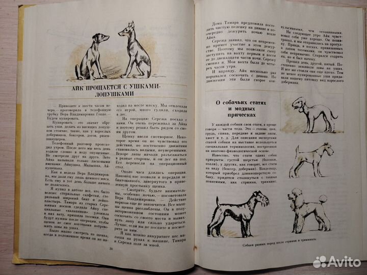 Воспитай себе друга.Про воспитание собаки