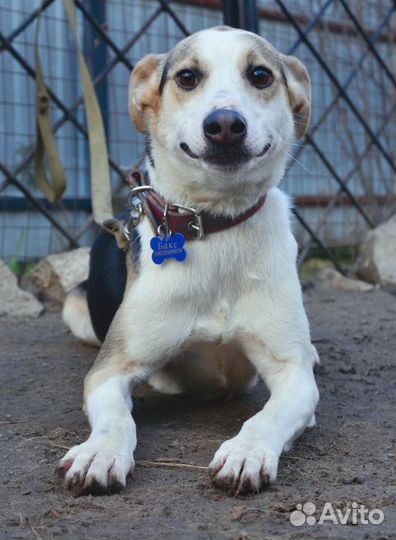 Чудо мальчик в добрые руки