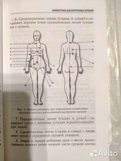 Гимнастика для внутренних органов, книга