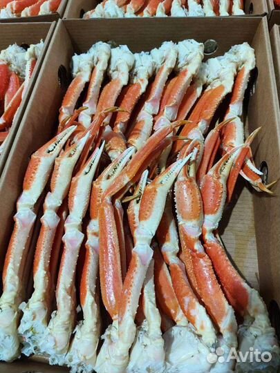 Краб Стригун конечности коробка 4 кг