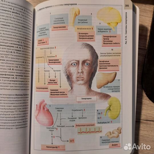 Клиническая патофизиология