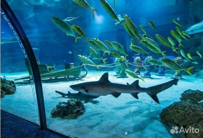 Билеты в Москвариум