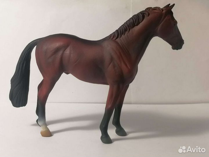 Лошади collecta