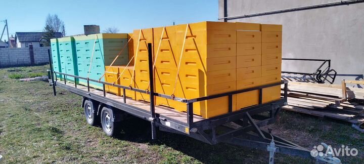 Улья ппу дадан 12 рамочные