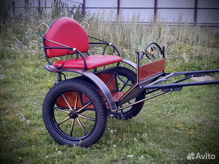 Карета, фаэтон, сани