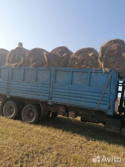 Продам сено в рулонах