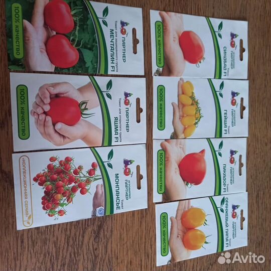 Рассада томат, перец, помидор, баклажан и др