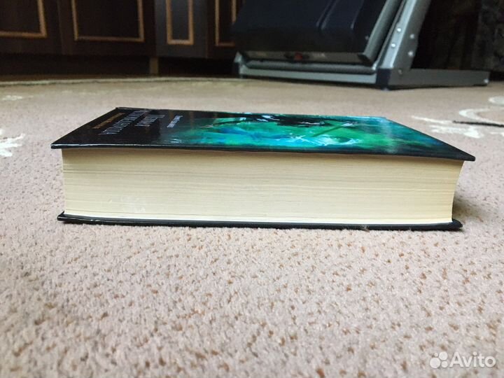 Первая исповедница «терри гудкайнд»